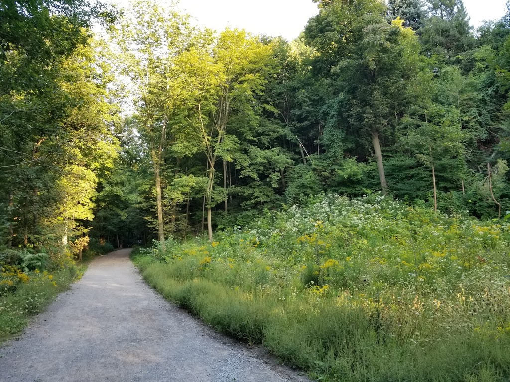 Beltline Trail | Beltline Trail, Toronto, ON M4T 2A4, Canada