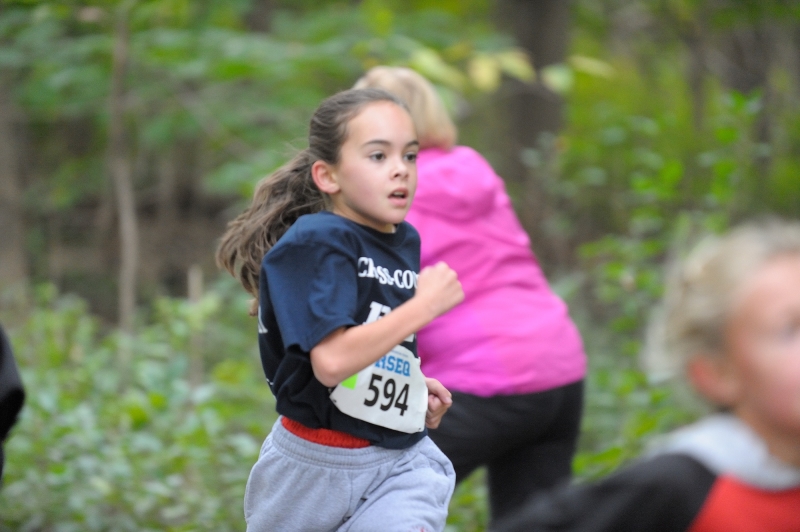 Charles-Perrault School | 106 Rue Cartier, Roxboro, QC H8Y 1G8, Canada | Phone: (514) 684-5043