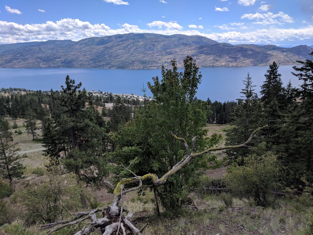 Pincushion Mountain Hiking Trail - 4639 Ponderosa Dr, Peachland, BC V0H ...