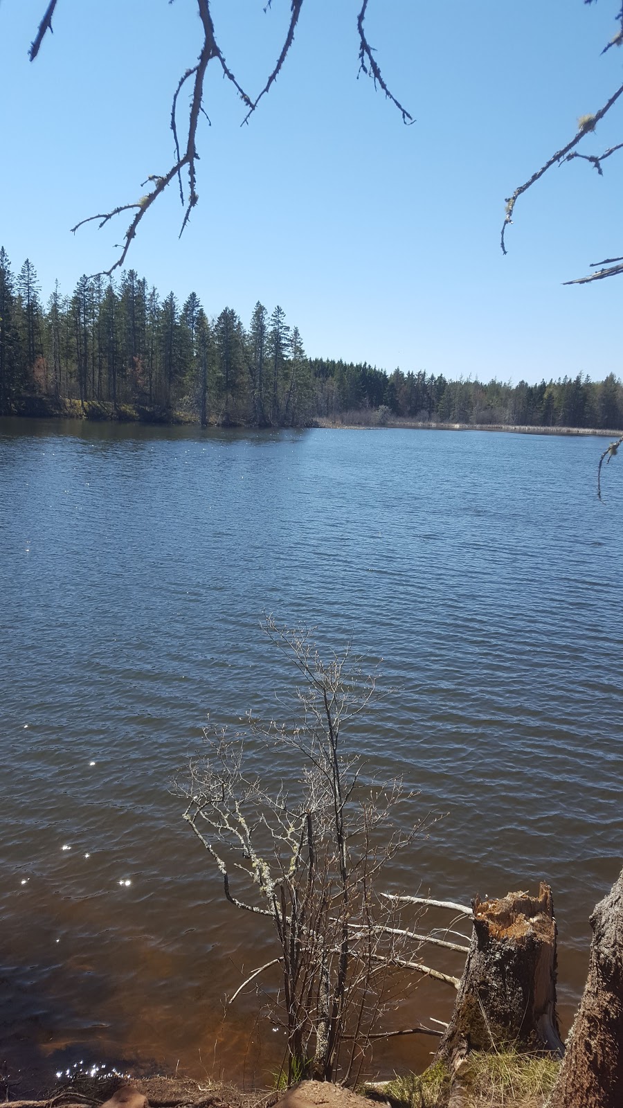 Chignecto National Wildlife Area | 930 Southampton Rd, Amherst, NS B4H 3Y4, Canada | Phone: (902) 426-1900