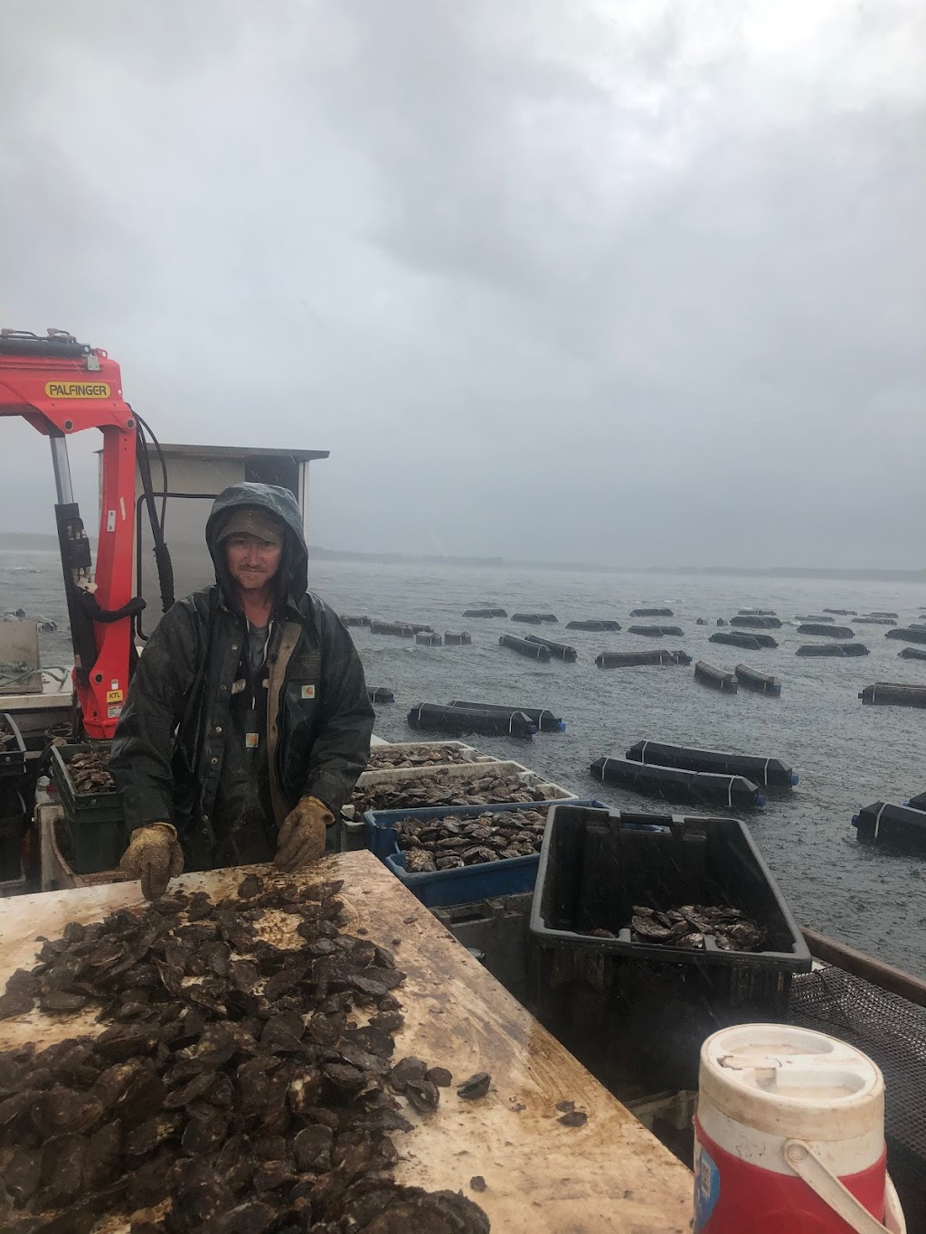 N 46° Oysters Inc. | 392 Trout River Rd, Coleman, PE C0B 1H0, Canada | Phone: (902) 859-1884