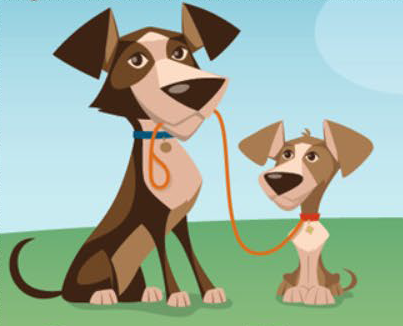 Tongues & Tails | 6859-A, Hwy 620, Coe Hill, ON K0L 1P0, Canada | Phone: (613) 318-5269