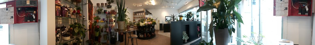Fleuriste Louis Quinze | 1047 Rue Saint-Denis, Montréal, QC H2X 3H9, Canada | Phone: (514) 849-3661