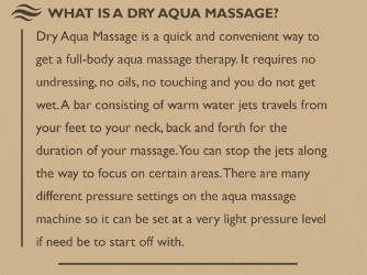 AquaPal Dry Water Massage Bed | 6-820 Triple E Blvd, Winkler, MB R6W 0M7, Canada | Phone: (204) 362-8383