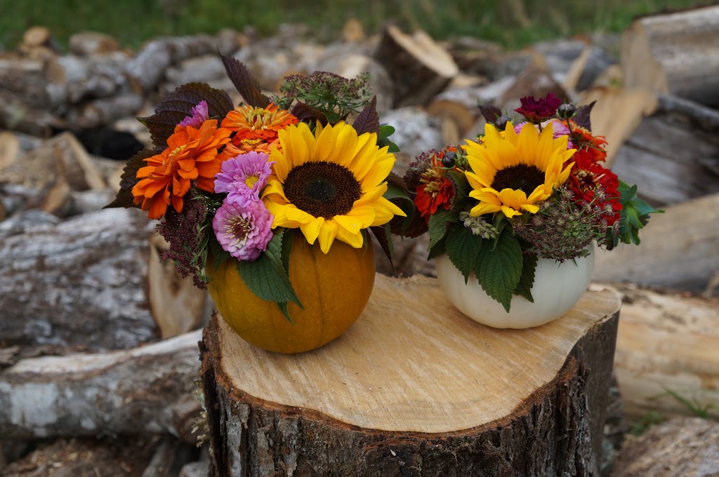 Marshdale Farms | 2731 White Hill Rd, Hopewell, NS B0K 1C0, Canada | Phone: (902) 923-2323