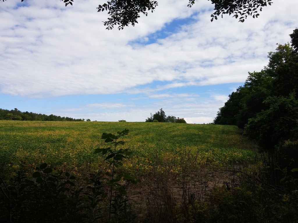 Guelph Off Road Bicycling Association | 797 Victoria Rd N, Guelph, ON N1L 1B3, Canada
