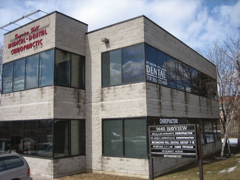 Dr. Allan Horowitz & Associates, Chiropractic, Physiotherapy, Ac | 9640 Bayview Ave #1, Richmond Hill, ON L4C 9P7, Canada | Phone: (905) 737-9090