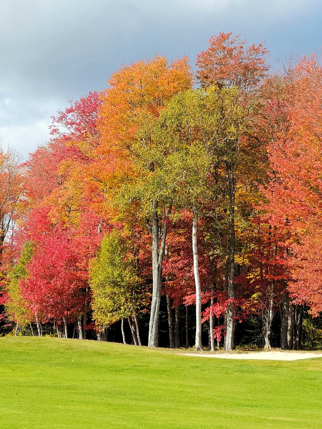 Avondale Golf Course | 586 Avondale Rd, Vernon Bridge, PE C0A 2E0, Canada | Phone: (866) 651-2380