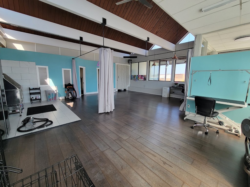 Head to Tail Dog Grooming | 3641 Portage Rd, Niagara Falls, ON L2J 2K8, Canada | Phone: (905) 329-7598