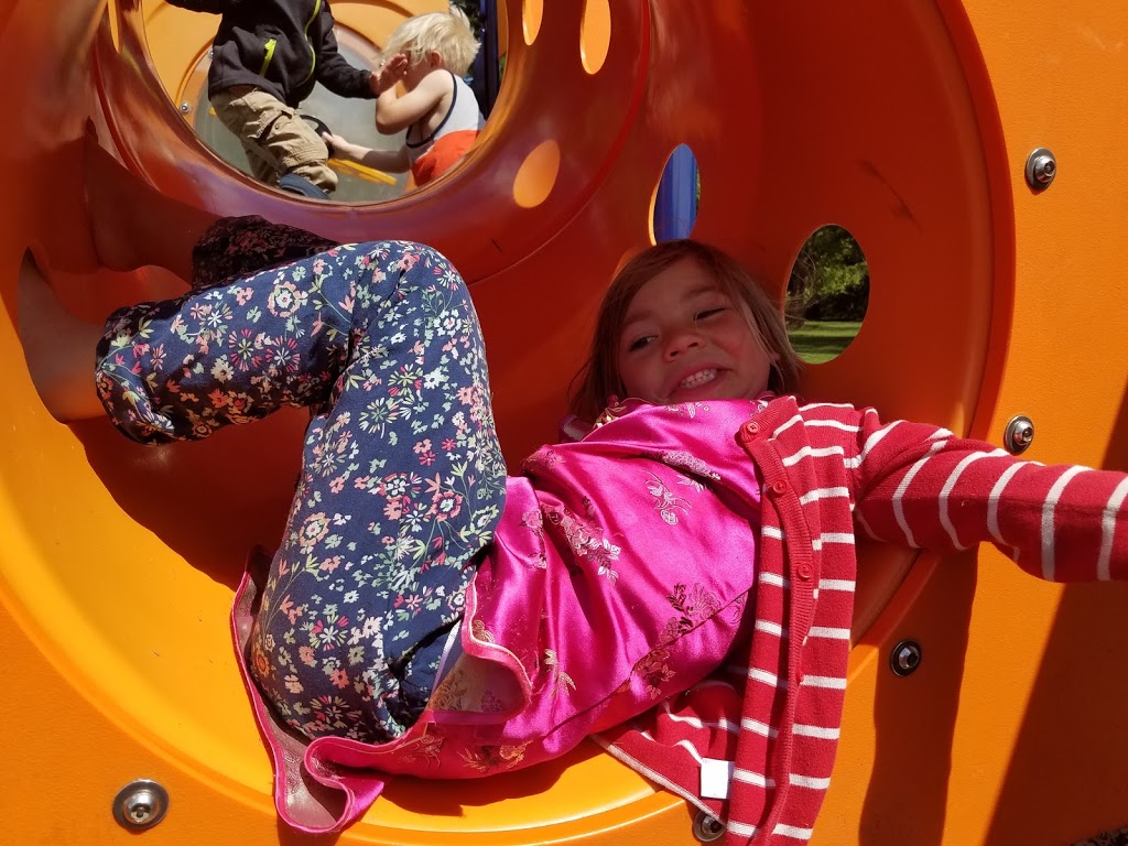 Whatcom Family Cooperative Preschool | 1041 24th St, Bellingham, WA 98225, USA | Phone: (360) 726-2096