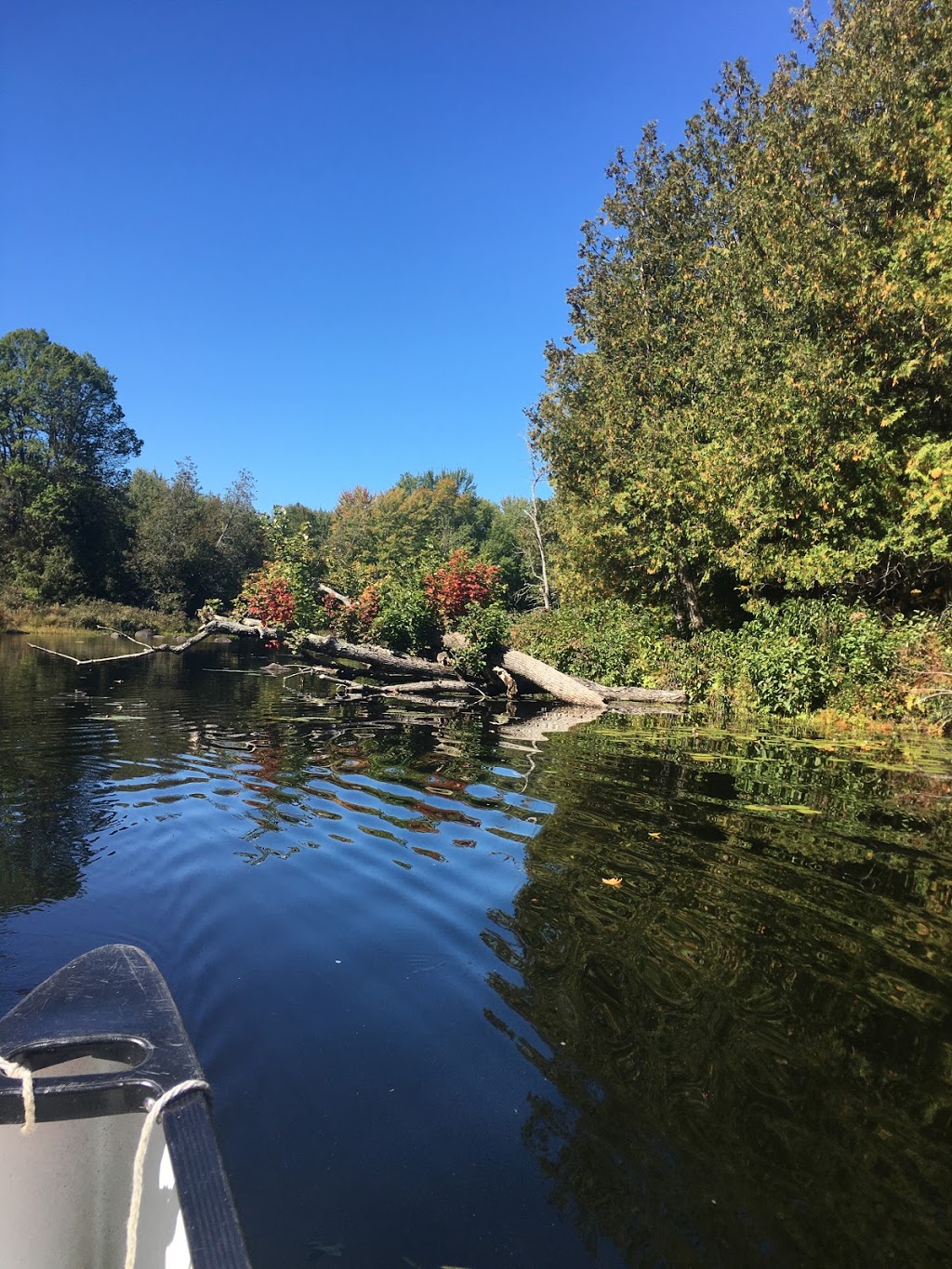 Camp Cherith - Lanark | 286 River Farm Ln, Lanark, ON K0G 1K0, Canada | Phone: (613) 288-5806