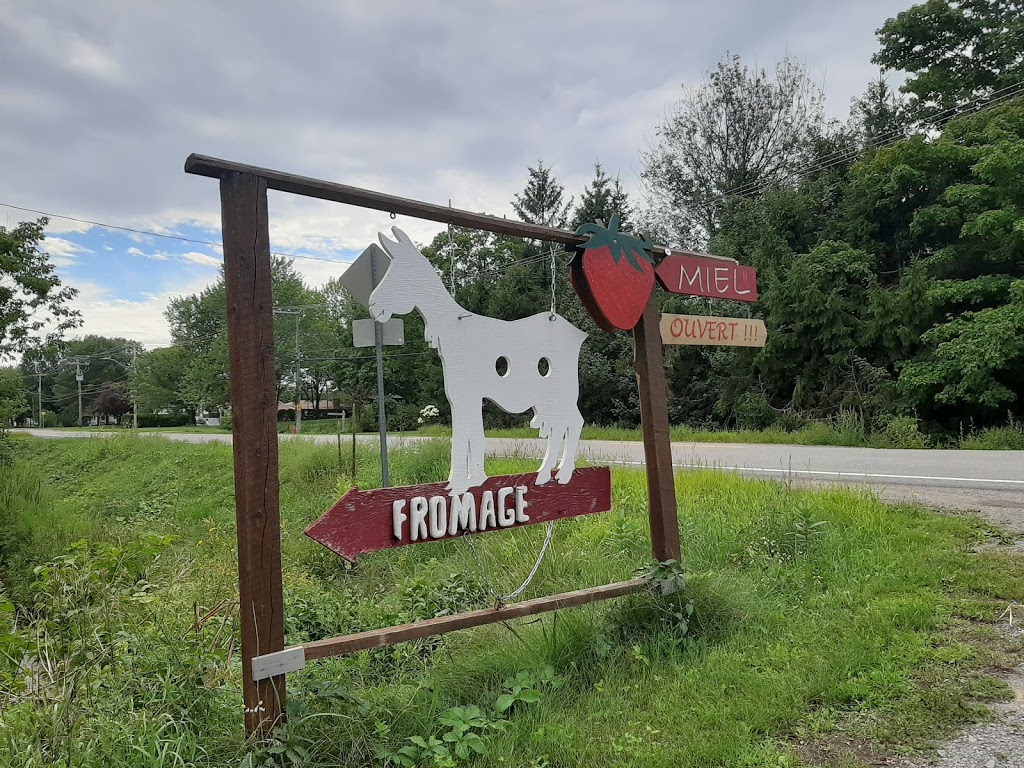 Ferme Caron - fromages | 1100 Rue Louis de France, Trois-Rivières, QC G8T 1A4, Canada | Phone: (819) 609-3460