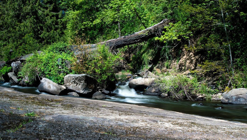 Bowen Park | 500 Bowen Rd, Nanaimo, BC V9R 1Z7, Canada | Phone: (250) 755-7501