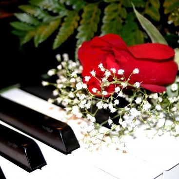 Rebeccas piano & theory studio - piano lessons | 20379 91b Ave, Langley City, BC V1M 2G1, Canada | Phone: (778) 862-0218
