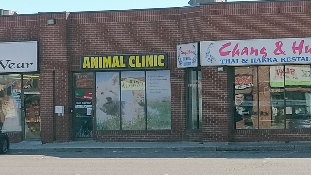 Dixie Eglinton Animal Clinic | 6-5120 Dixie Rd, Mississauga, ON L4W 4J7, Canada | Phone: (905) 282-0002