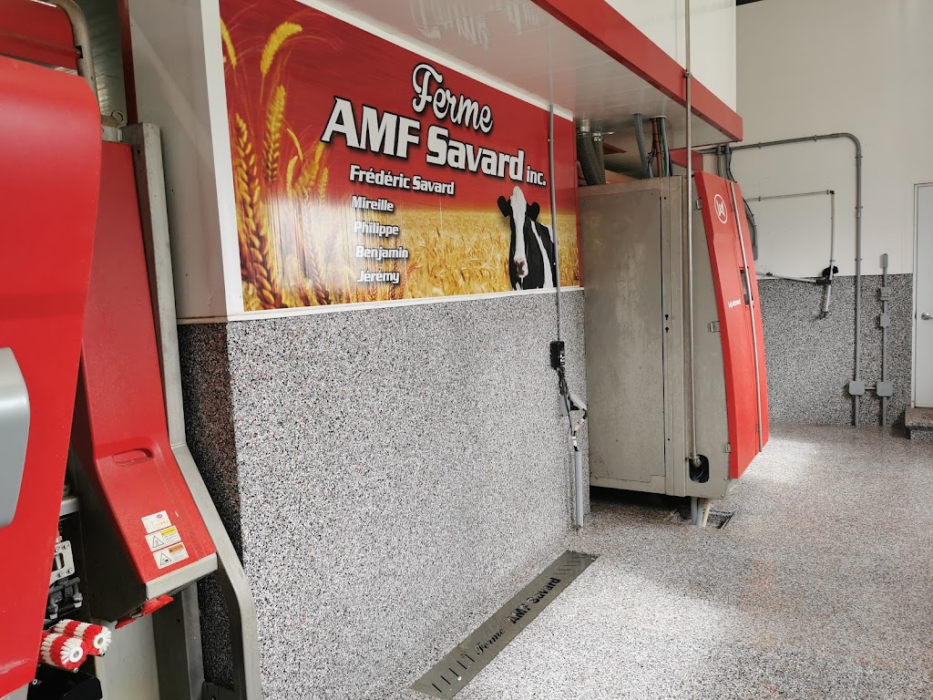 Ferme AMF Savard inc | 923 Rang Caron, Hébertville, QC G8N 1B5, Canada | Phone: (418) 669-0299