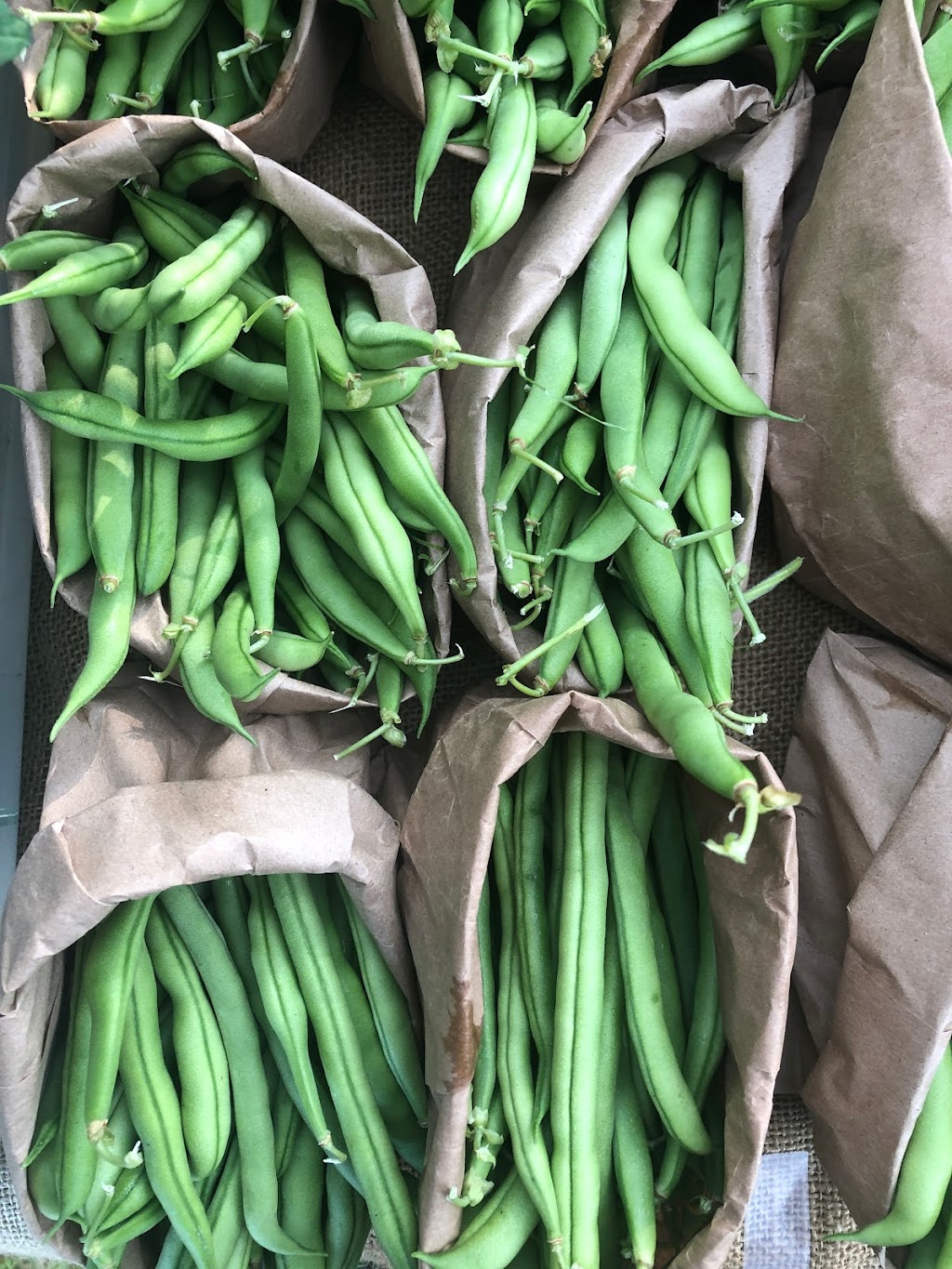 Root Renaissance Farm | 1700 Grafton Ave, Errington, BC V0R 1V0, Canada | Phone: (604) 825-8500