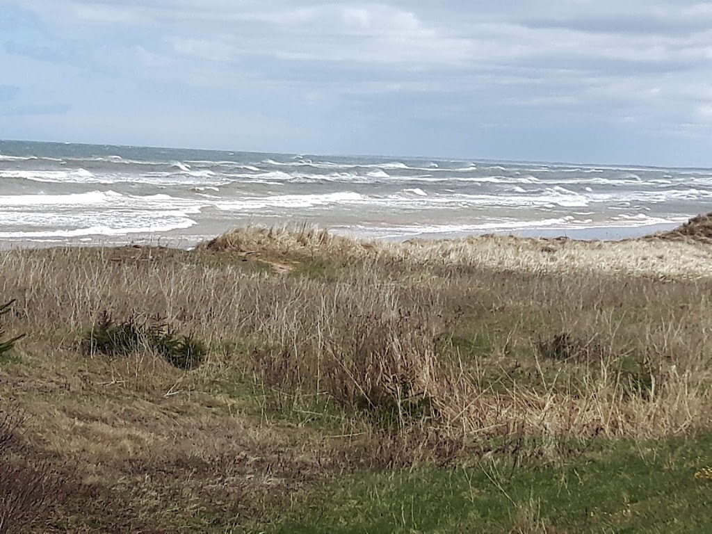 Reunion Cottages | 98 Blanchard Ln, York, PE C0A 1P0, Canada | Phone: (902) 969-7359