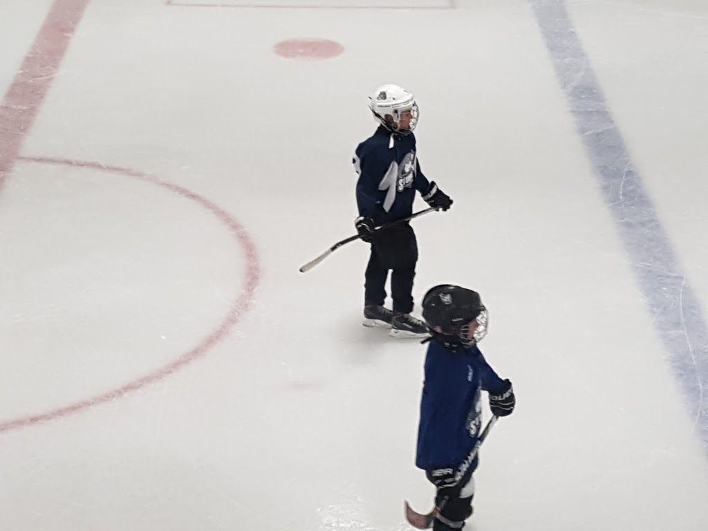 National Hockey Training Centre | 20740 Mufford Crescent #110, Langley City, BC V2Y 1N9, Canada | Phone: (604) 534-7825