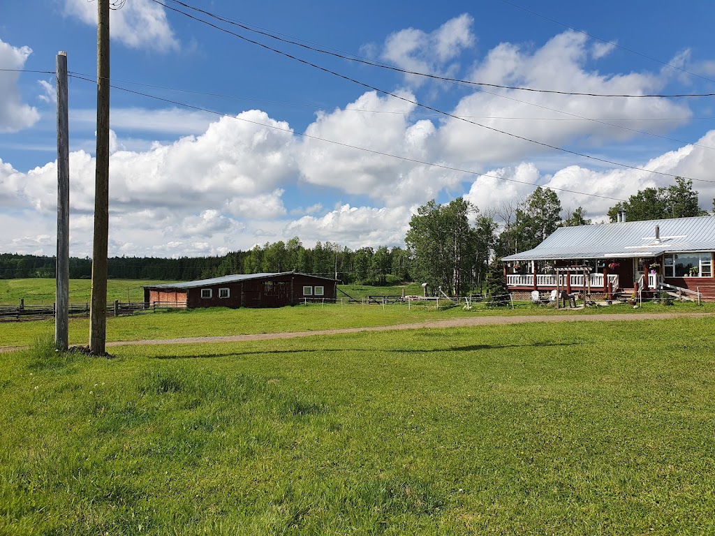 Attwood Creek Ranch | 7244 Watch Lake Rd, Lone Butte, BC V0K 1X0, Canada | Phone: (250) 395-1159