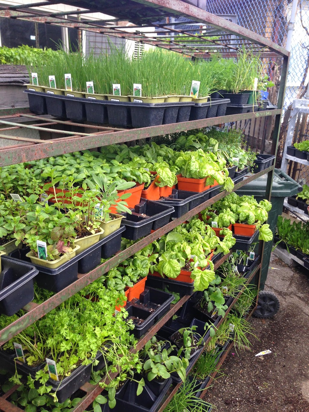 Homeland Toronto S Garden Centre 750 Danforth Rd Scarborough On M1k 1g5 Canada