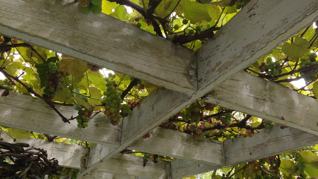 Jardins & Des Lys | 23 Rue Saint-Pascal, Verchères, QC J0L 2R0, Canada | Phone: (514) 606-6554