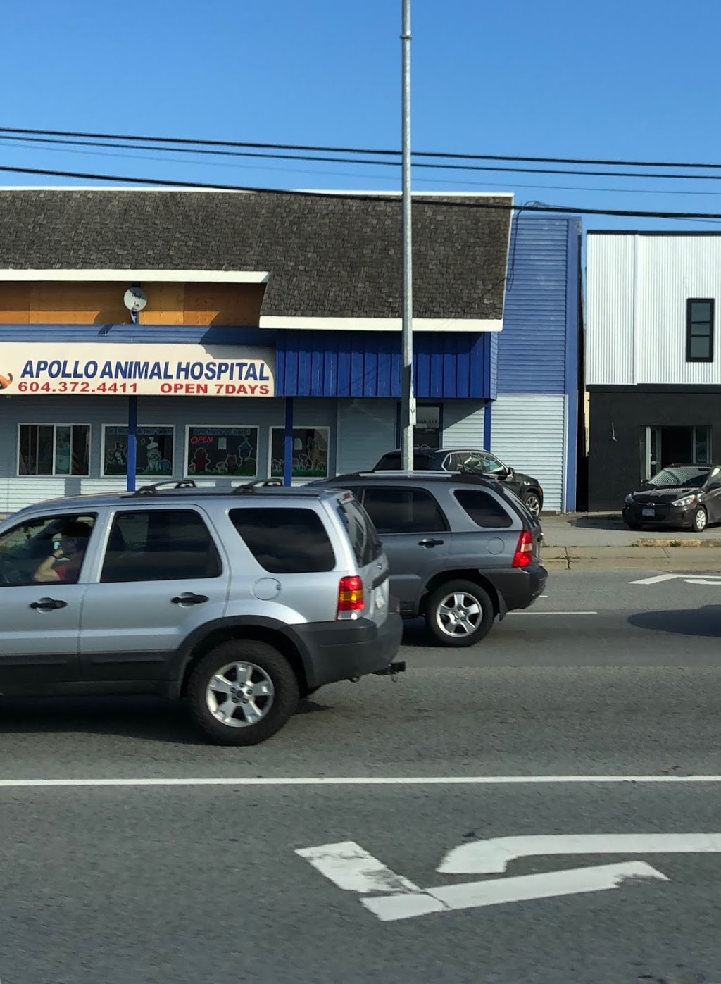 Apollo Animal Hospital | 17525 56 Ave, Surrey, BC V3S 1C4, Canada | Phone: (604) 372-4411