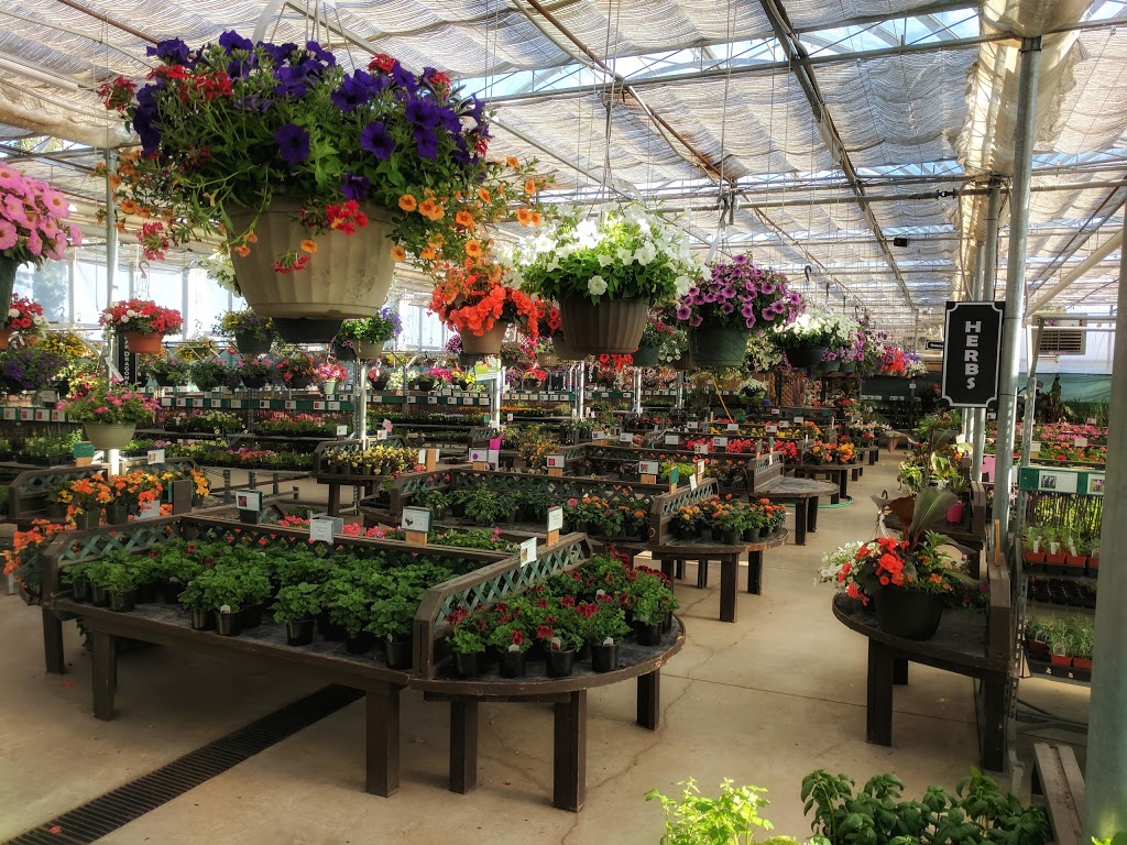 Root Seller, The | 16735 Zaychuk Rd NW, Edmonton, AB T5Y 6G5, Canada | Phone: (780) 473-2588