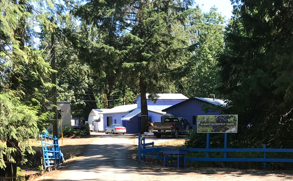 H & A Ross Farm | 30151 Downes Rd, Abbotsford, BC V4X 1Z8, Canada | Phone: (604) 856-1465