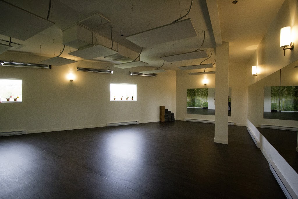Namaste Yoga St-Nicolas | 580 Route des Rivières #205, Saint-Nicolas, QC G7A 2T6, Canada | Phone: (418) 446-6744