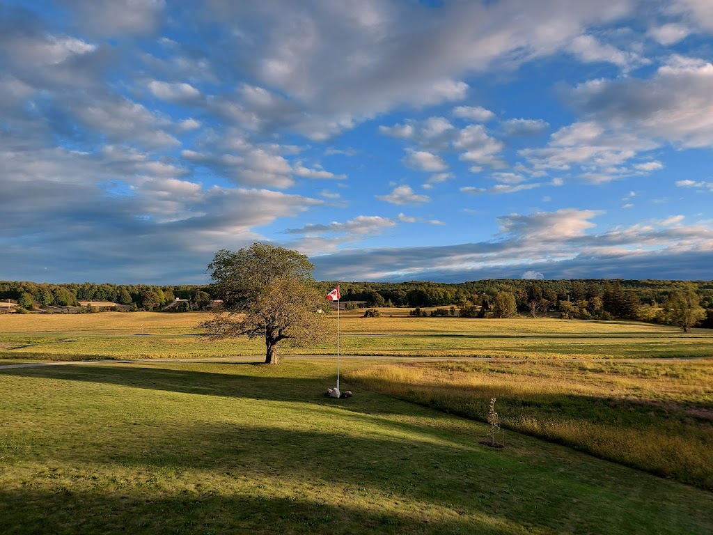 Flying Fields Maple | 2375 11 Line N, Hawkestone, ON L0L 1T0, Canada | Phone: (705) 790-1632