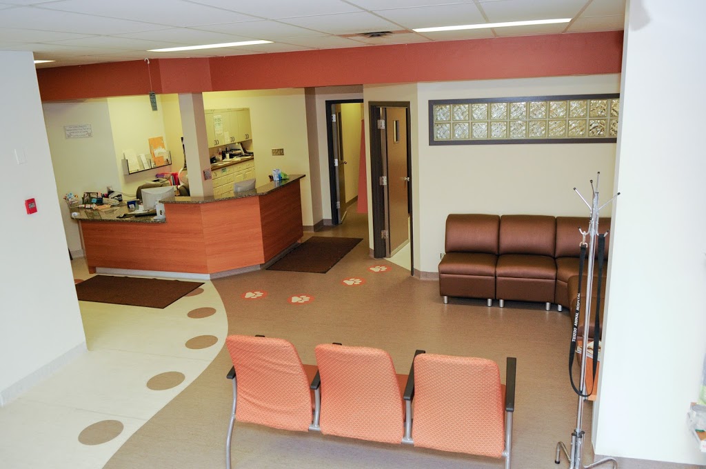 Tuxedo Animal Hospital | 192-2025, Corydon Ave, Winnipeg, MB R3P 0N5, Canada | Phone: (204) 488-1843