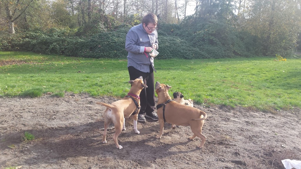 Freedom Dog Park | 8398 154a St #8382, Surrey, BC V3S 4P1, Canada | Phone: (604) 501-5050