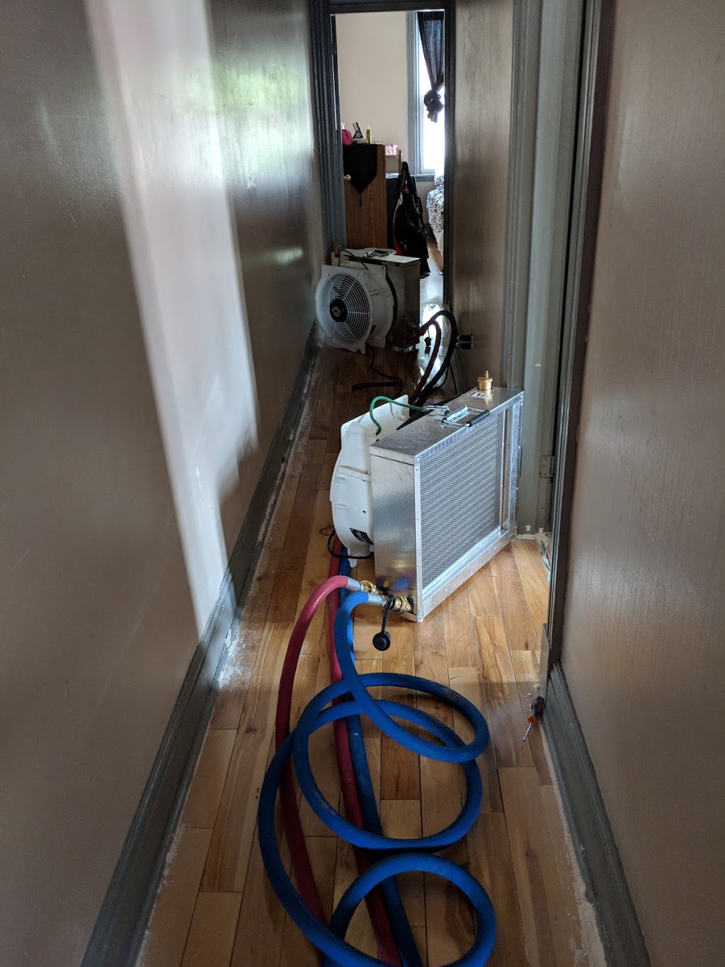 Green Heat Bed Bug Exterminator | 1411 Hidden Valley Rd, Burlington, ON L7P 0T5, Canada | Phone: (289) 828-2298