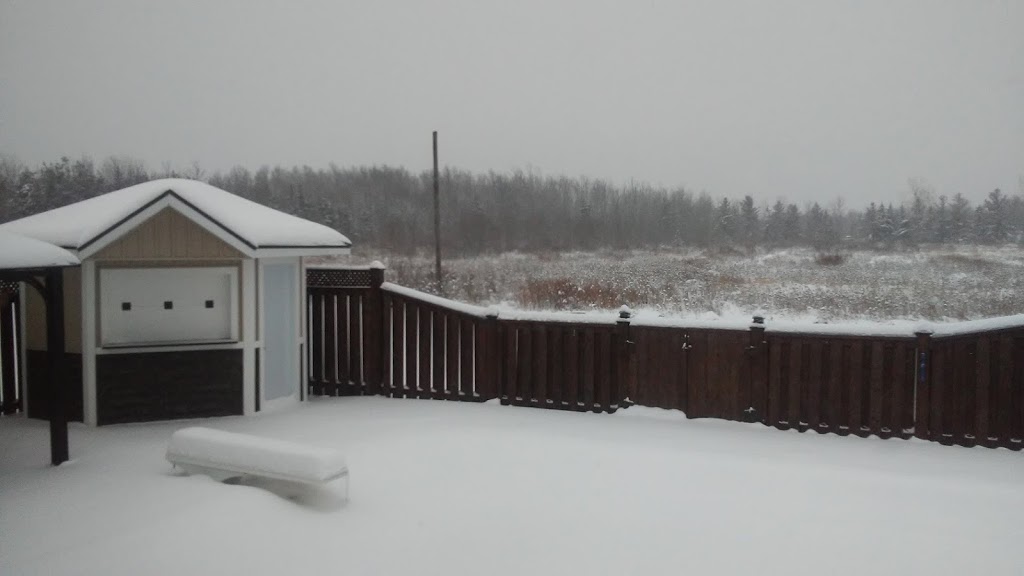 The Garibbean | 5525 ON-3, Sherkston, ON L0S 1R0, Canada | Phone: (905) 894-3731