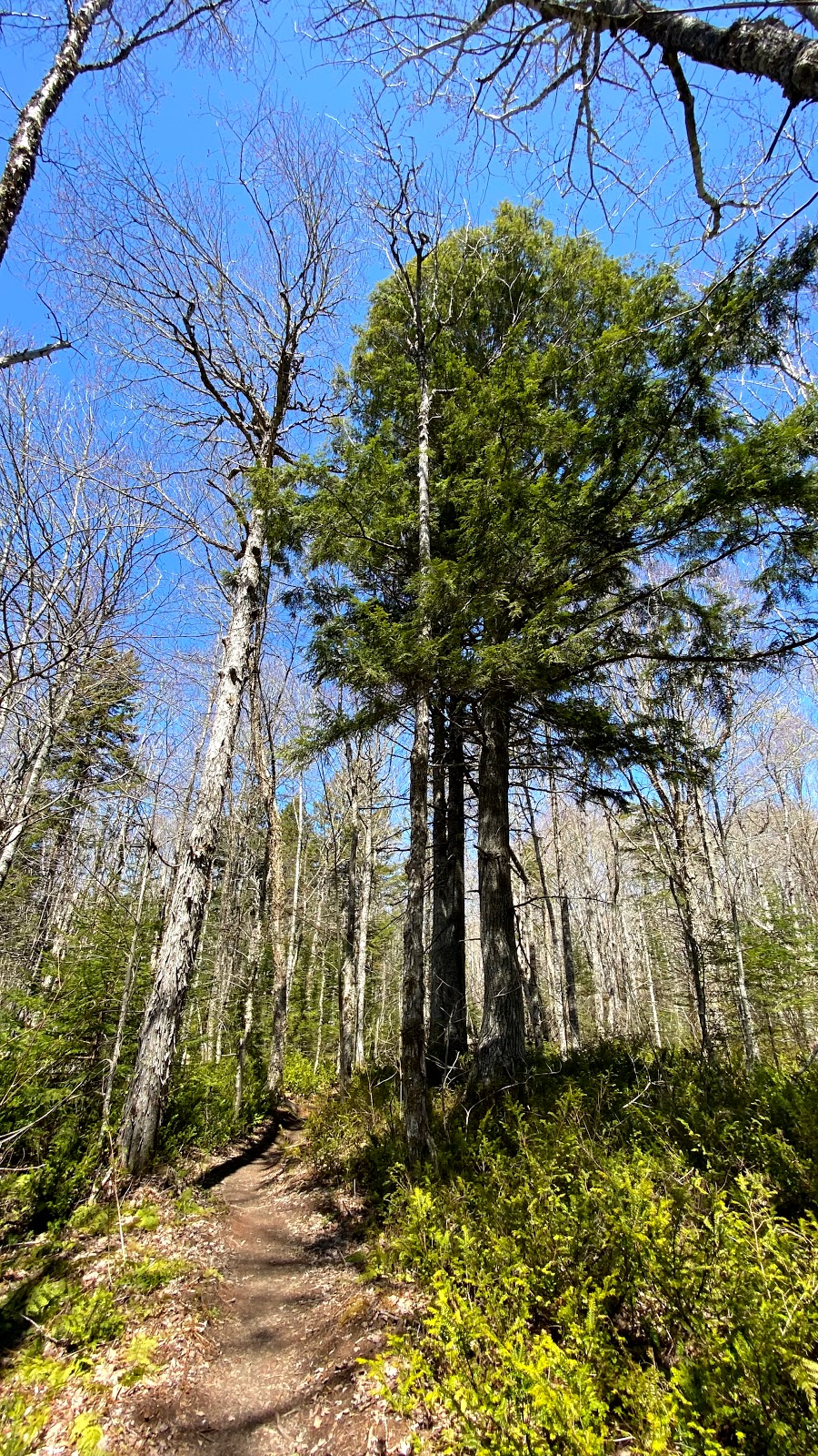 Bonshaw Hills Provincial Park | 29 Green Rd, Bonshaw, PE C0A 1C0, Canada | Phone: (902) 859-8790