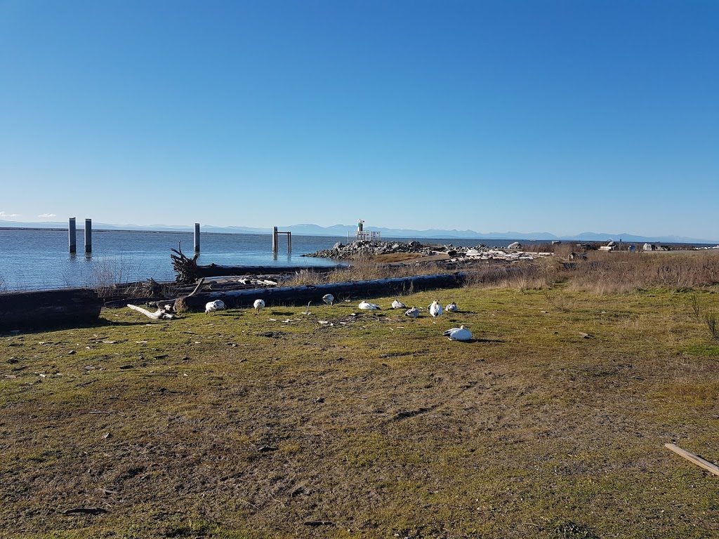 West Dyke Trail | Steveston Hwy, Richmond, BC V7E 2J1, Canada