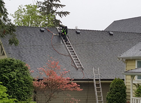Moss Busters | 12077 59 Ave, Surrey, BC V3W 0M6, Canada | Phone: (604) 360-6862