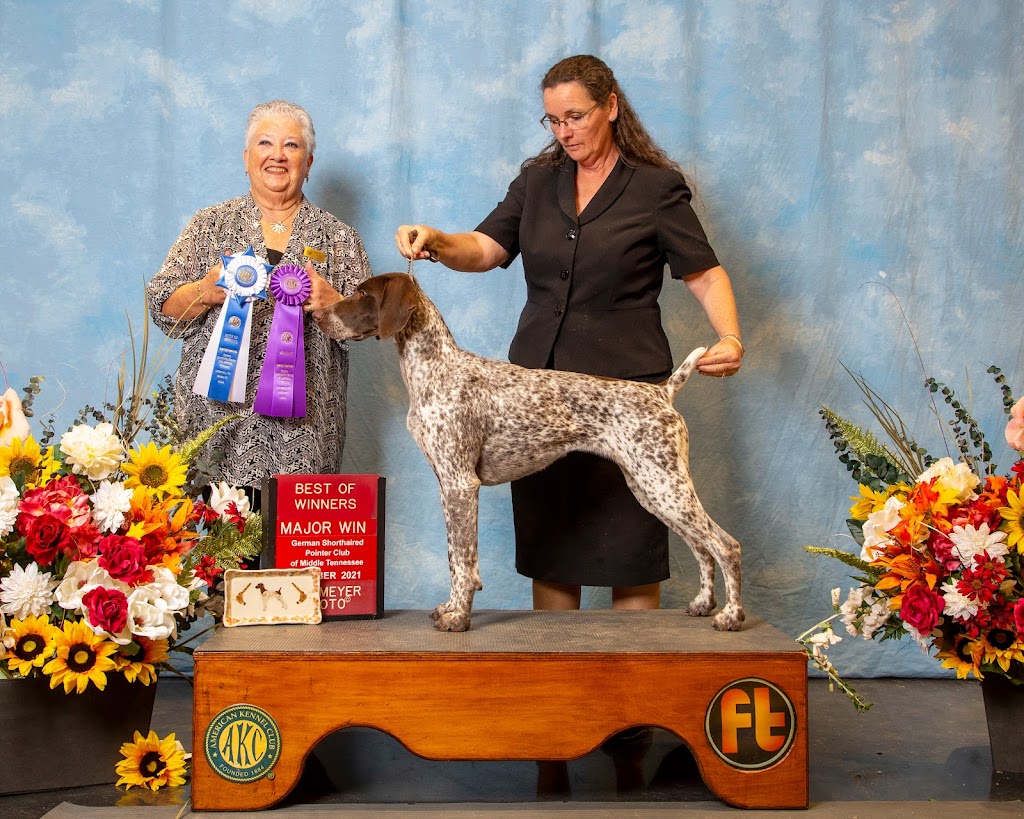 SevenStars German Shorthaired Pointers | 9675 Hwy 33 Suite 201, Bath, ON K0H 1G0, Canada | Phone: (343) 477-0143