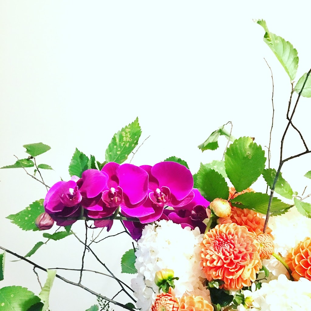 FERN TORONTO | 1596 Queen St E, Toronto, ON M4L 1G2, Canada | Phone: (647) 345-3376
