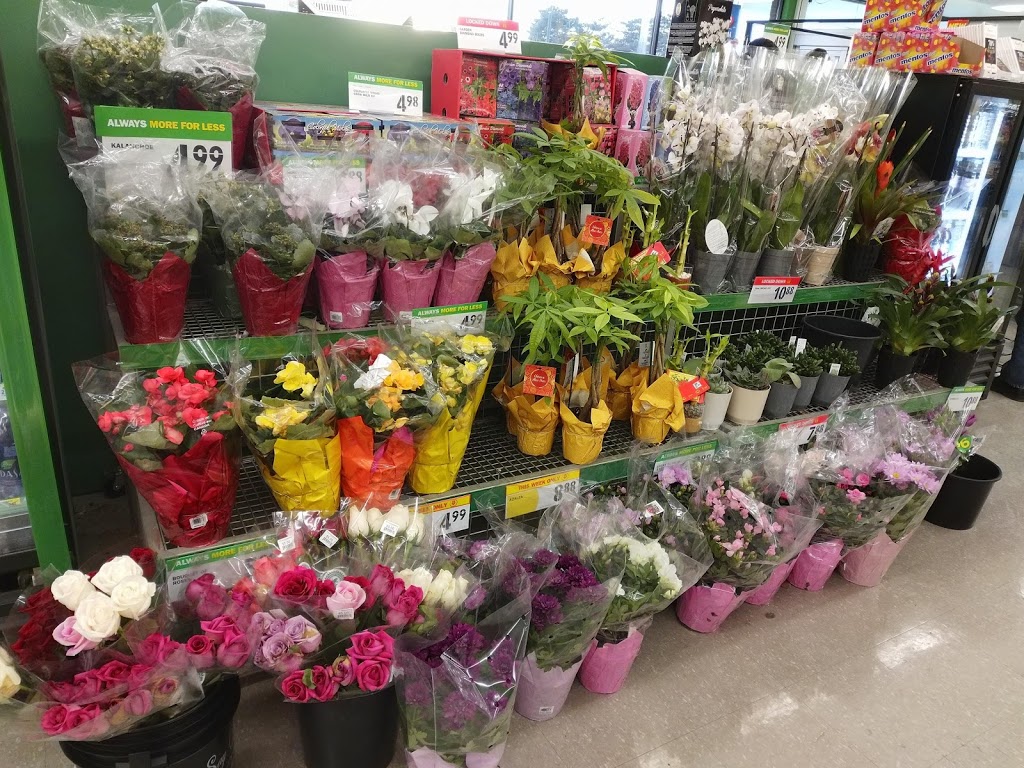 Food Basics | 500 Laurier Ave, Milton, ON L9T 4R3, Canada | Phone: (905) 876-1117