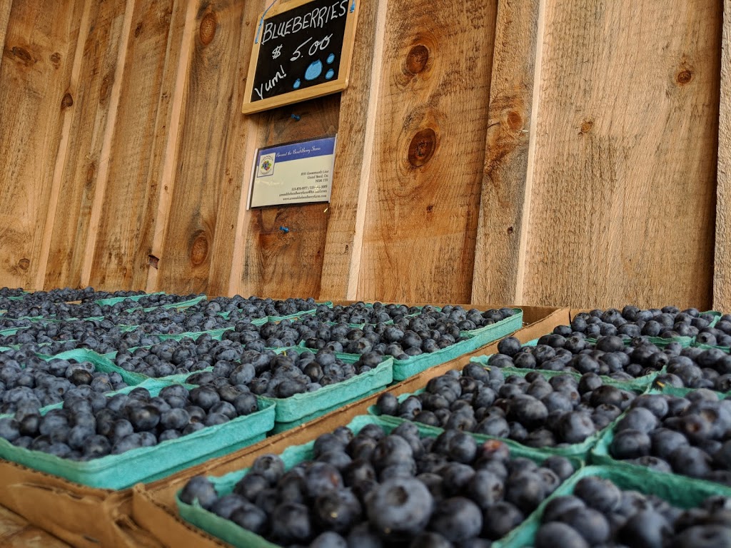 Masse Fruit and Vegetable | 35291 Zurich Hensall Rd, Zurich, ON N0M 2T0, Canada