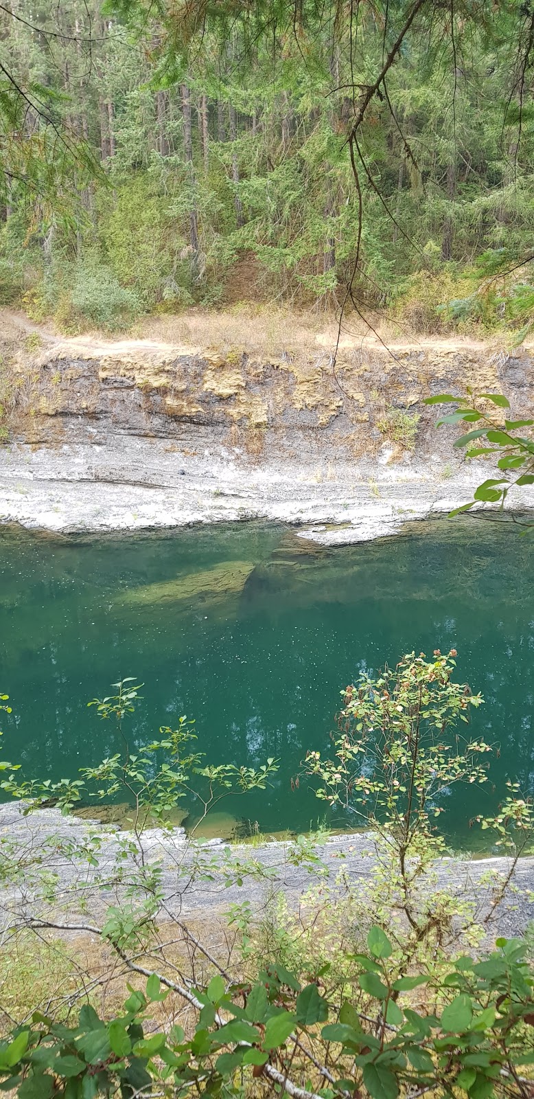 Skutz Fall parking lot trail head | Riverbottom Rd W, Lake Cowichan, BC V0R 2G0, Canada