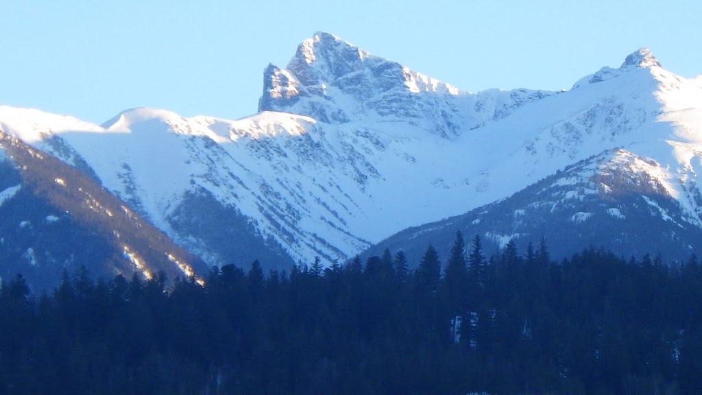 Tyax Heliskiing | 1 Tyaughton Lake Rd, Gold Bridge, BC V0K 1P0, Canada | Phone: (250) 238-2221