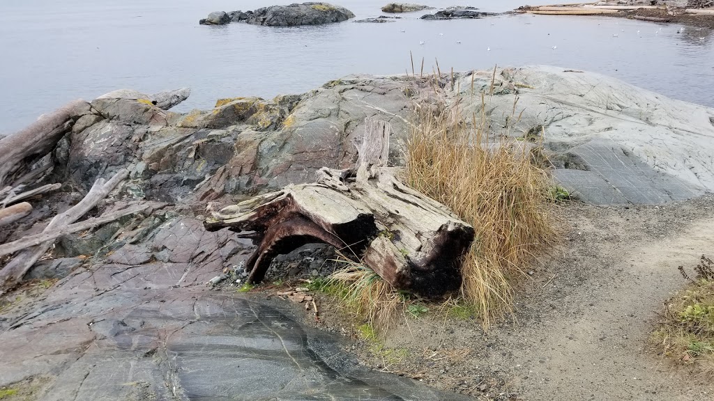 Spiral Beach | 1119 Dallas Rd, Victoria, BC V8V, Canada | Phone: (250) 361-0500