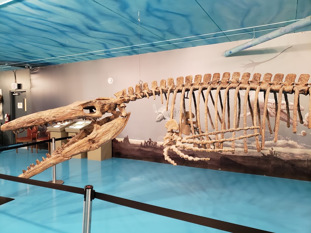 Bruce The Mosasaur | Morden, MB R6M 1P4, Canada | Phone: (204) 822-4434