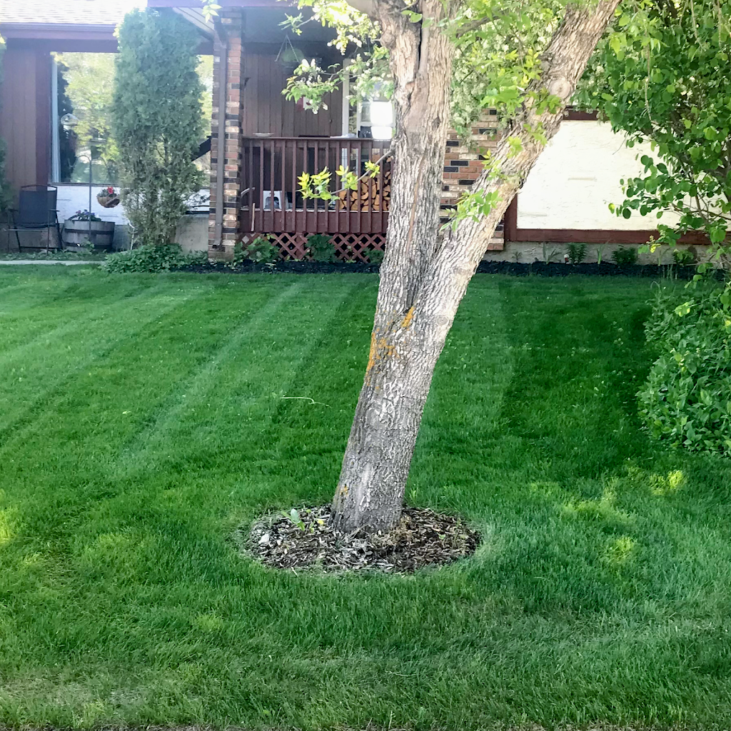 Low Profile Lawn Care | 210 Centennial Dr, Wetaskiwin, AB T9A 2L5, Canada | Phone: (780) 360-9917