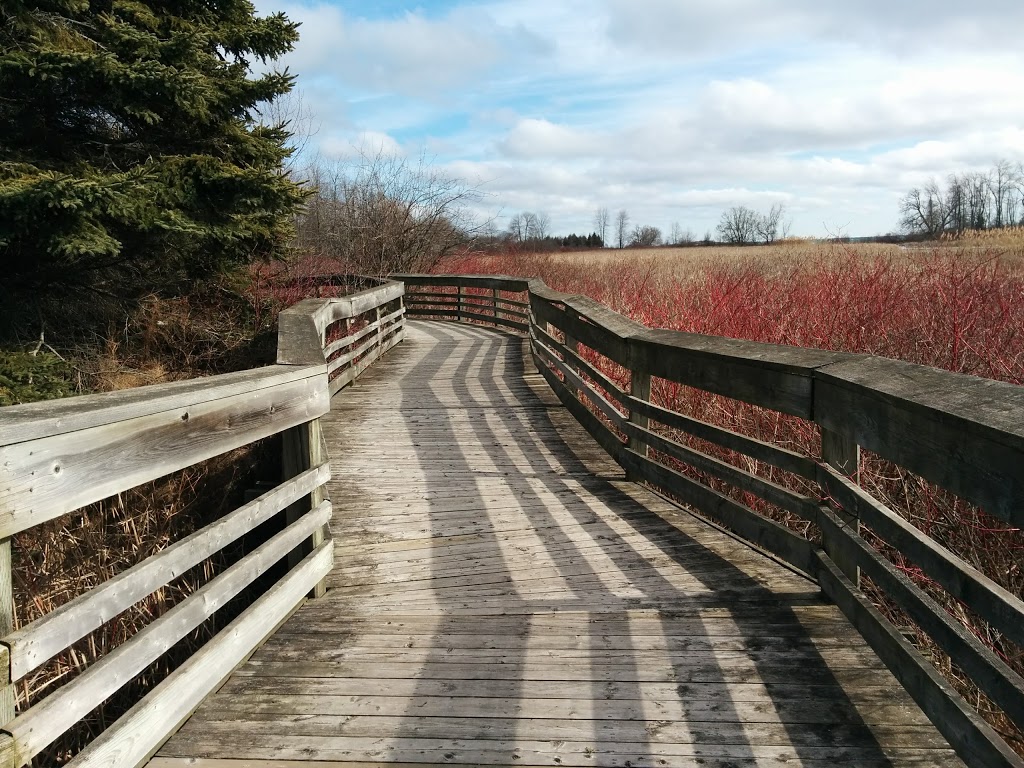 Lakefront West Park | 1221 Phillip Murray Ave, Oshawa, ON L1J 6Z8, Canada | Phone: (905) 436-3311
