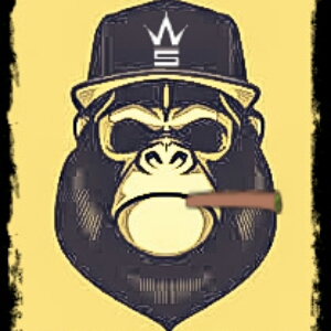 Canadiens monkeys | 3 Rue Notre-Dame apt 1, Repentigny, QC J6A 2N8, Canada | Phone: (438) 794-3037