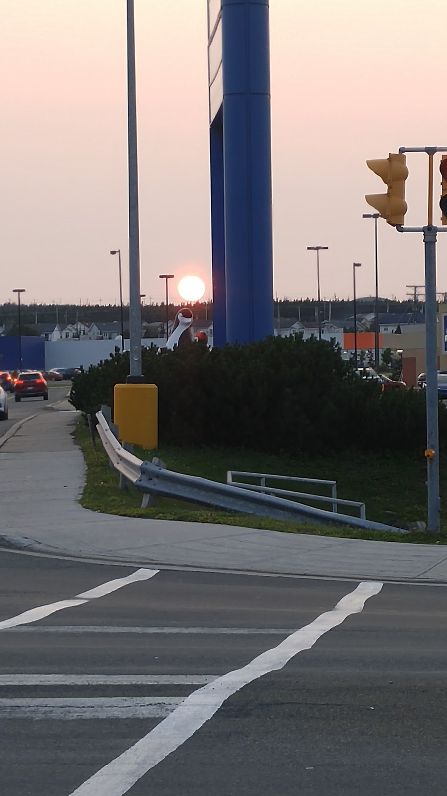SmartCentres Mount Pearl | 60 Merchant Dr, Mount Pearl, NL A1N 5J5, Canada | Phone: (905) 760-6200